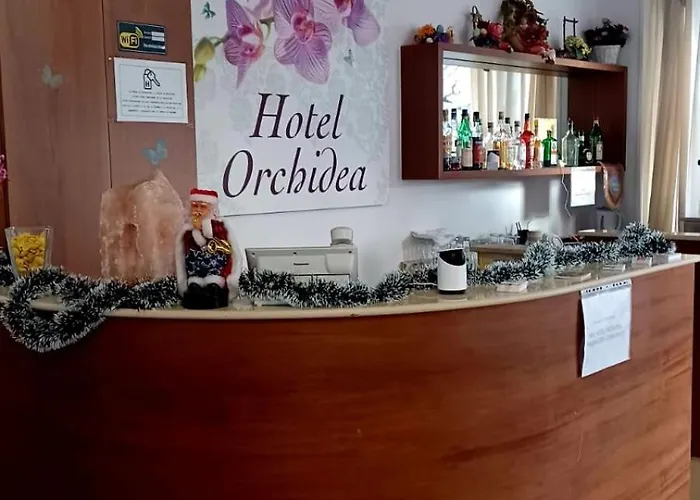 Orchidea Hotel